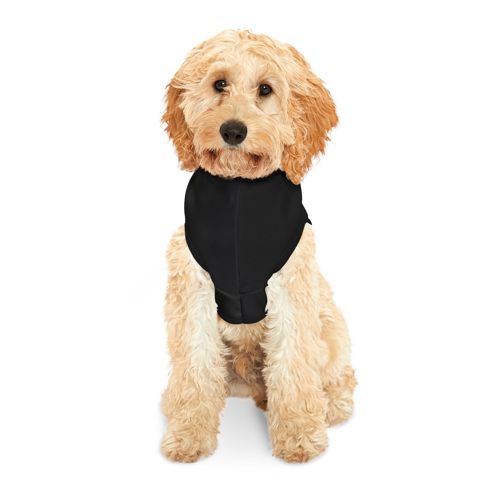 "Real King" Pet Hoodie