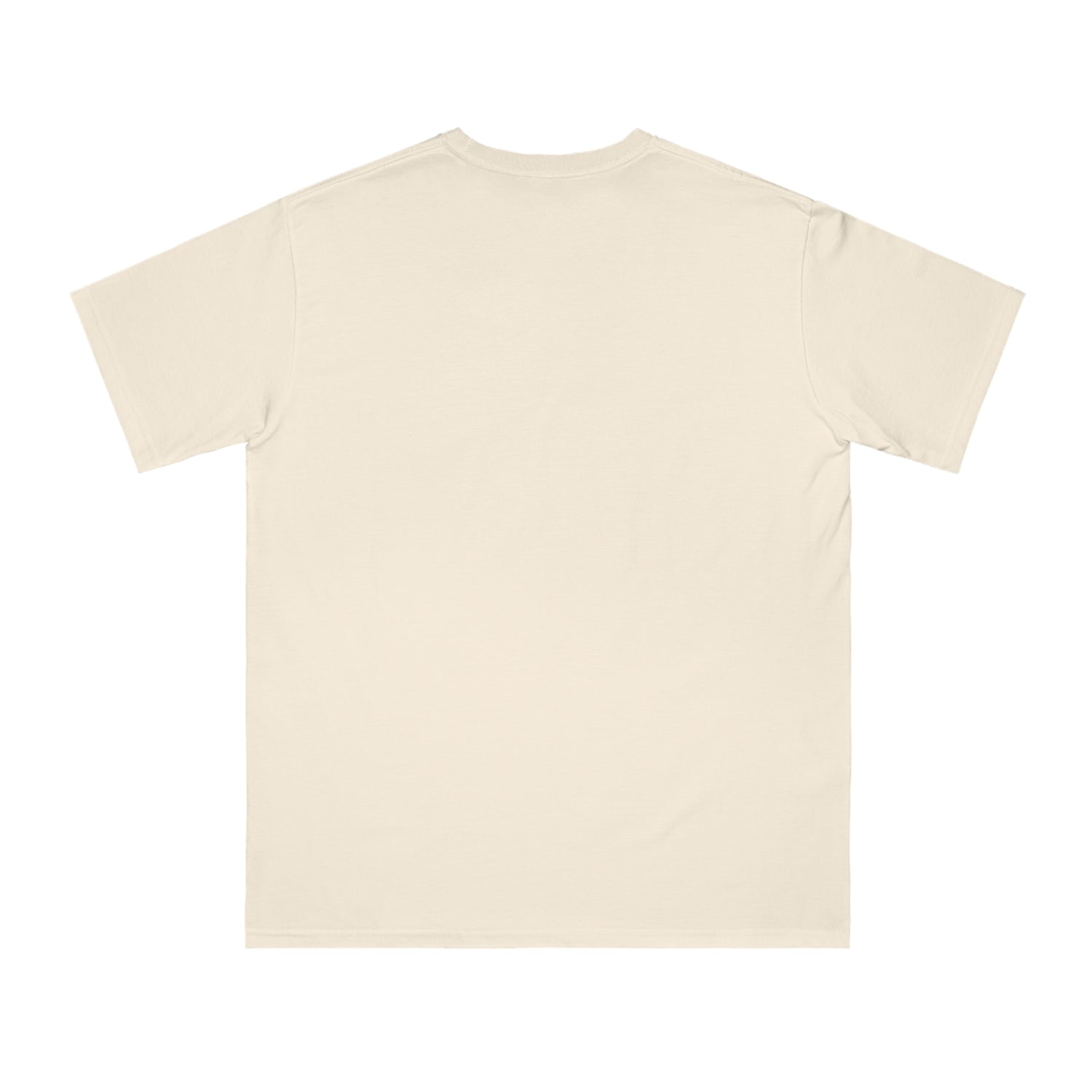 Organic Unisex Classic T-Shirt, "Gratitude" 2