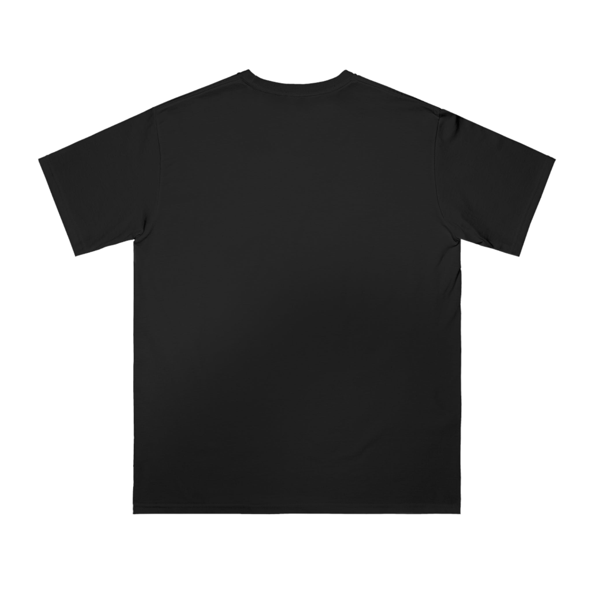 Organic Unisex Classic T-Shirt, "Gratitude" 2