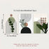 3Pcs Modern Abstract Green Plants Leaf Sun Lines Wall Boho Art Canvas Painting Posters Prints Pictures Living Room Decor Gifts
